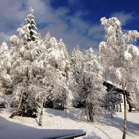 Juri & Hermann 1 Apartamento